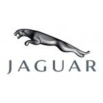 Авто JAGUAR